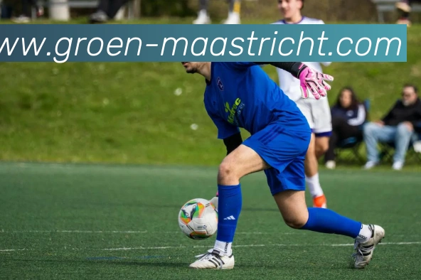 竞猜网平台生态图